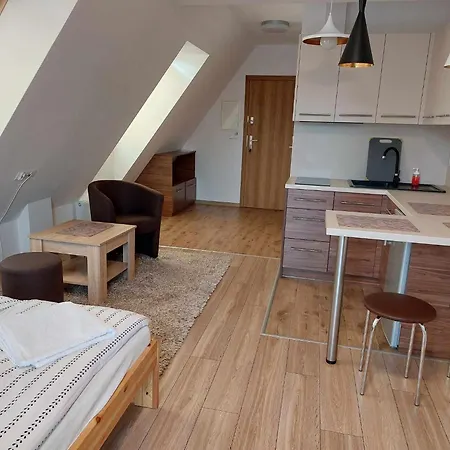 Apartamenty Cede Zakopane Exterior photo