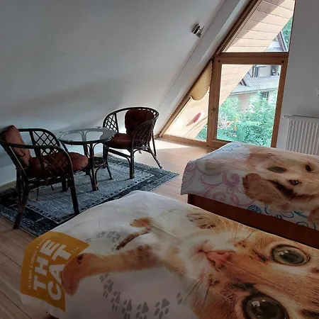 Apartamenty Cede Zakopane Exterior photo