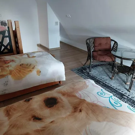 Apartamenty Cede Zakopane Exterior photo