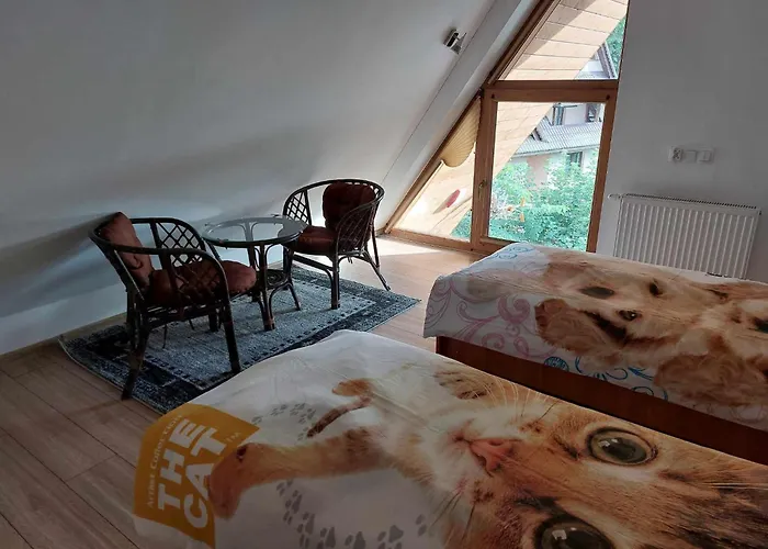 Apartamenty Cede Zakopane