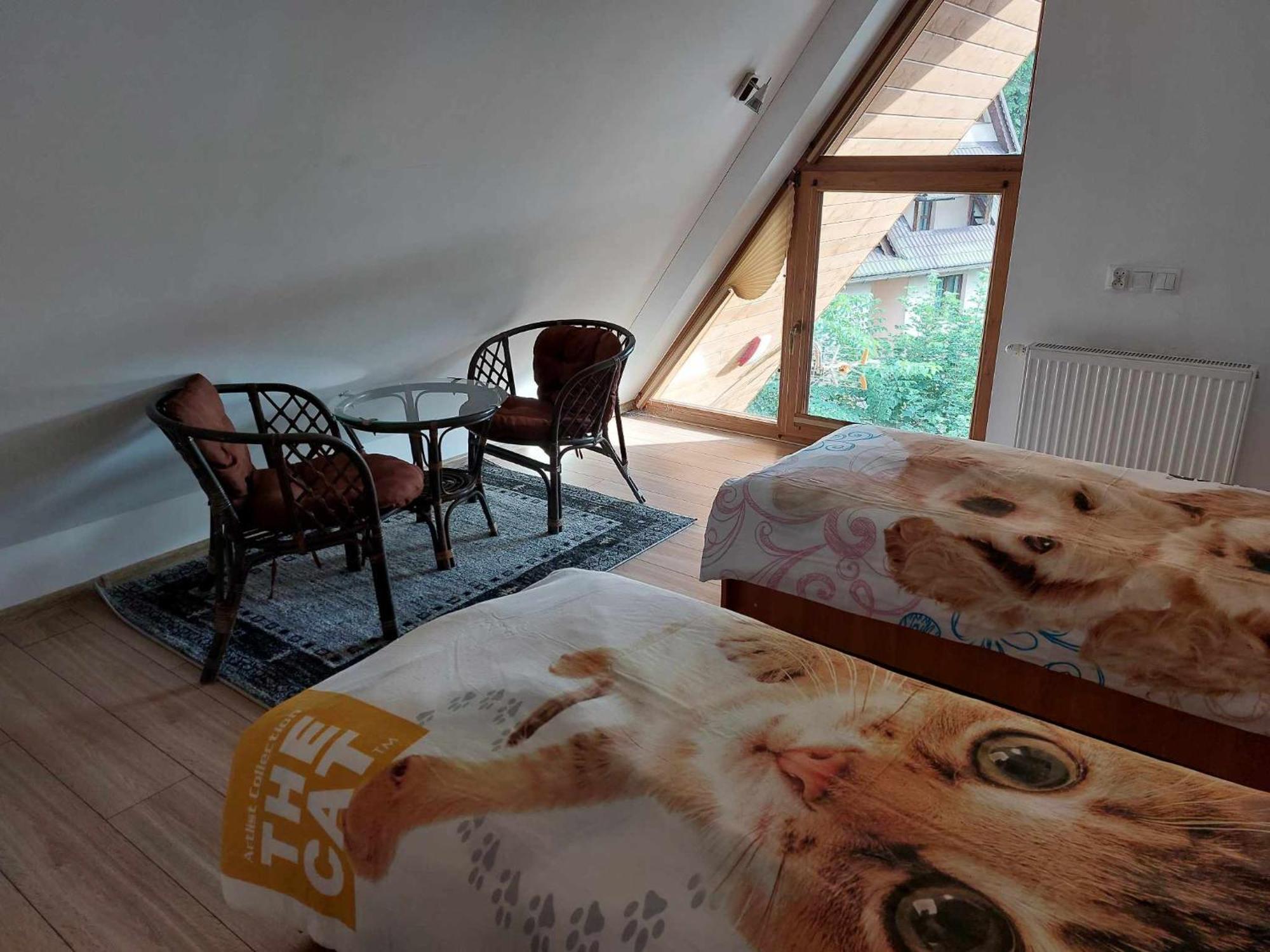 Apartment Cede